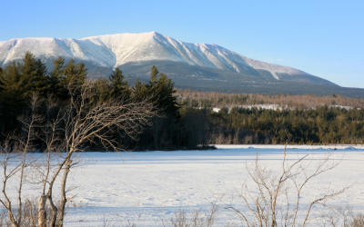 Read the Latest Wabanaki Alliance Newsletter